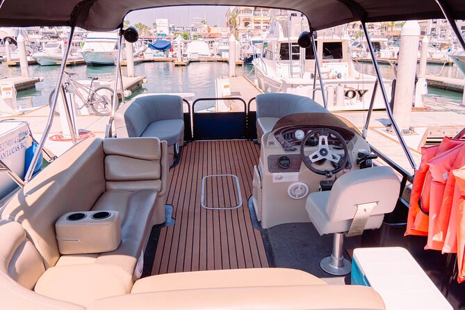 Whale Watching in Cabo San Lucas on board our Luxury Trimaran! - Weather, Sea Conditions, and When the Day Changes