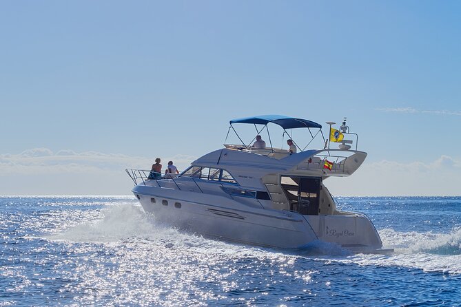 Whales and Dolphins excursion on a Luxury Yacht in Canary Islands - Key Takeaways Before You Go