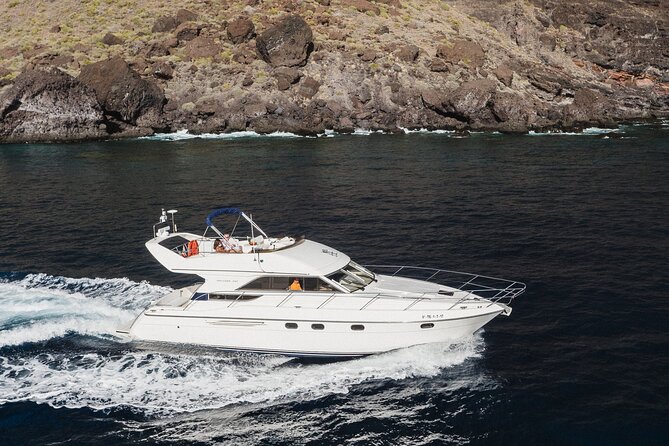 Whales and Dolphins excursion on a Luxury Yacht in Canary Islands - Getting to the Yacht: Las Galletas Start, Easy Pickup