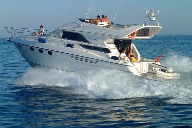 Whales and Dolphins excursion on a Luxury Yacht in Canary Islands - Food, Drinks, and Lunch: Why This Tour Feels Worth It