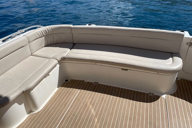 Whales and Dolphins excursion on a Luxury Yacht in Canary Islands - How Good Are Your Chances of Seeing Whales and Dolphins?