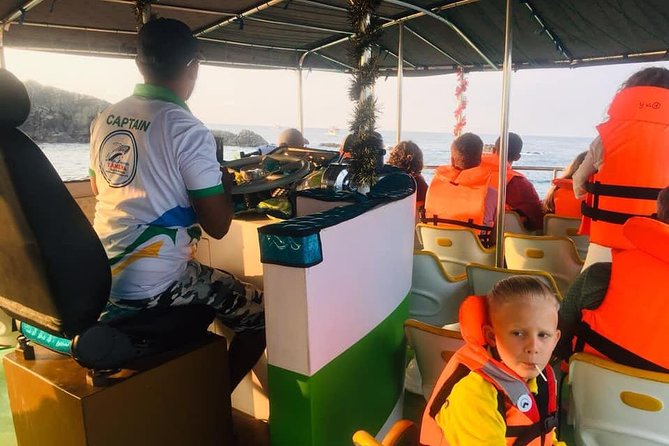 Whales and Dolphins Watching-Luxury Super Grade Cruiser(Hotel Pick up offered) - What you can spot off Mirissa: the species list, decoded