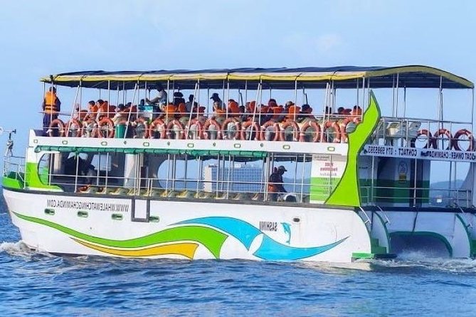 Whales and Dolphins Watching-Luxury Super Grade Cruiser(Hotel Pick up offered) - Breakfast on board: tea, coffee, and the food-and-seasickness reality