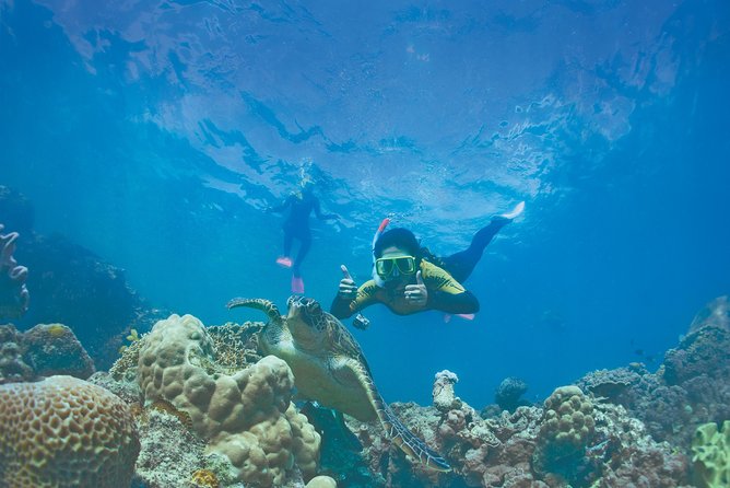 Whitsunday Islands Sail, SUP & Snorkel Tour- Small group - A Luxe 60ft Catamaran Where Comfort Actually Matters