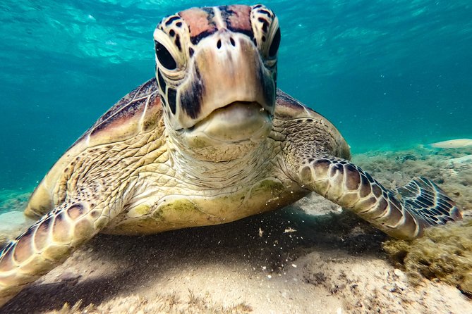 Whitsunday Islands Sail, SUP & Snorkel Tour- Small group - Sailing Time From Airlie Beach: Getting Out There in the Right Mood