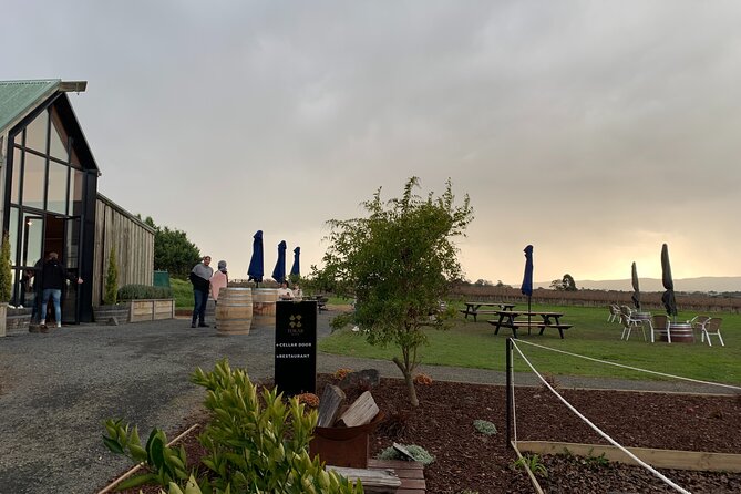 Wine Tour Yarra Valley Five Star Experience - Soumah tasting: why this winery gets special praise