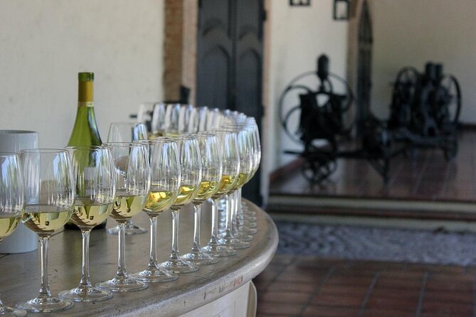 Wine wonders at Concha y Toro premium tour - Key Things That Make This Concha y Toro Tour Worth Your Time