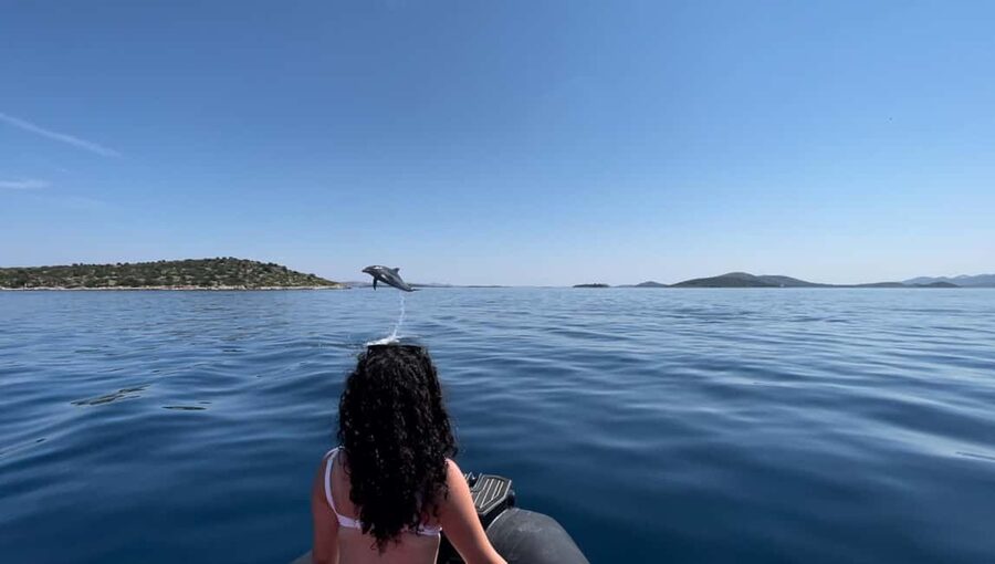 Zadar: Island Luxury Speedboat Tour with Snorkeling - Stop 1: Ošljak island for walking, swimming, and snorkeling (about 80 minutes)