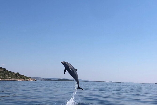 Zadar: Island Luxury Speedboat Tour with Snorkeling - Drinks on board: what’s included vs what people expected