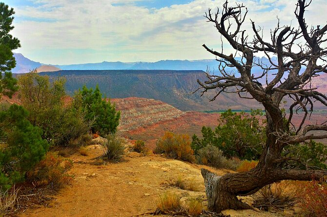 Zion Jeep Tour Premium Package - Morning Tour - Small-Group Comfort: Open Jeeps, No Intercom, and the Attention Factor